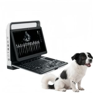 Mesin <span class=keywords><strong>Laptop</strong></span>, pemindai <span class=keywords><strong>Ultrasound</strong></span> diagnostik dokter hewan portabel profesional, peralatan Unit mesin <span class=keywords><strong>Ultrasound</strong></span> - Product Image 1