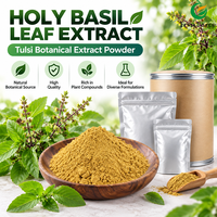 Poudre d'extrait de feuille de basilic sacré Fruiterco 10:1 20:1 Matière première botanique Tulsi en vrac