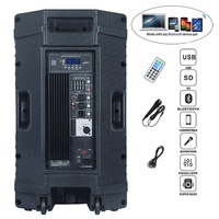Ensemble de karaoké sans fil professionnel 500W avec haut-parleur 15 pouces, système audio DJ/PA, micro TWS, télécommande et écho