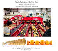 Commerciële groente- en aardappelverwerkingslijn, zeer nauwkeurige sorteermachine met aanpasbare stadia (reiniging, sortering)