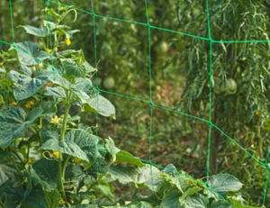 Filet de treillis robuste pour plantes d'extérieur et d'intérieur, idéal pour haricots, tomates, pois verts, citrouilles, fleurs, légumes de jardin et concombres - Product Image 6