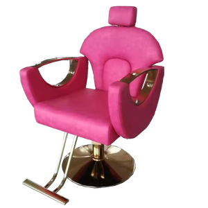 2023 son fransız tarzı 10 yıl garanti pembe yaslanma hidrolik sandalye kuaför salonu tasarım koltuğu amaçlı sandalye - Product Image 6