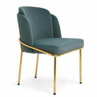 Chaises de salle à manger de style nordique minimaliste moderne, pieds en acier, mobilier de luxe pour la maison, utilisation en restaurant, structure métallique, fonction rafraîchissante