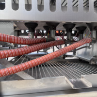 Machine à flamme à gaz double usage pour l'écorchage de volailles et la torréfaction du poivre tigre