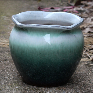 Vaso in terracotta grezza a bocca larga MSH, corto e robusto, per piante grasse e Aeonium - Product Image 2