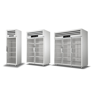 Congelatore Verticale Commerciale in Acciaio Inox per Cucina, Frigorifero per Esposizione Frutta, Attrezzatura di Refrigerazione - Product Image 3
