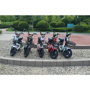 China Cheapest Y2-OT 2 Seat City Electric Bike with 60V Electric Scooter Wholesale Price to Adult Electric Bicycle in Vietnam