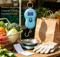 Balance de pêche en forme de gourde avec écran LCD numérique 40kg/10g, balance portable pour peser les valises ou le poisson