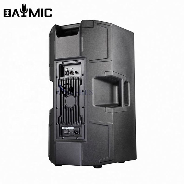 OEM Plastic 15 Inch Active Speaker With Amplifier Module Two Way Professional Audio Active Horn Loudspeaker for Home Studio