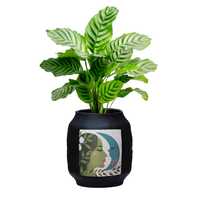 Tempat Tanaman Hias Dalam Ruangan untuk Meja Kantor, Pot Dekoratif Ruangan, Pot Hitam Bergaya, Dekorasi Ruang Tamu, Tanaman Hias Meja Modern