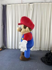 ชุดมาสคอตมาริโอและลุยจิแบบเป่าลมสั่งทำพิเศษ ชุดมาสคอตมาริโอ้บราเธอร์สแบบเป่าลมสำหรับผู้ใหญ่สำหรับงานฮาโลวีน - Product Image 2