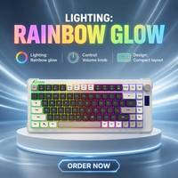Clavier de jeu filaire USB mini 75 % à LED multicolores personnalisé en usine, clavier de jeu filaire USB OEM à LED RGB mixtes 78 touches