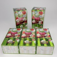 Cartes à collectionner officielles Pokémon (PTCG) - Jeu personnalisé - Pack Gem chinois original Vol.6 CBB6C - Boîte de boosters