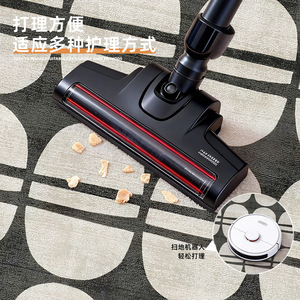 Alfombra de Salón Minimalista de Lujo EIFFEL HOME, Patrón Geométrico, Fibra de Poliéster, Lavable, Impermeable, Duradera, Primavera 2026, para Dormitorio - Product Image 2