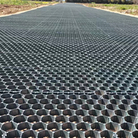 Grille résistante à la corrosion de pavés de protection d'herbe de HDPE pour le système de renfort au sol