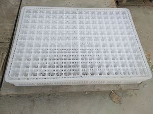 保温箱鸡蛋托盘价格优惠耐用鸡鹅火鸡鹌鹑鸽子鸭蛋托盘 - Product Image 6