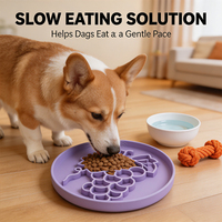 Bols et distributeurs d'aliments pour animaux de compagnie avec logo personnalisé, motif raisin, en silicone de qualité alimentaire anti-étouffement pour chats et chiens, neufs, OEM d'usine