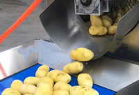 ZHUOYU 2025 prix d'usine ligne de production de frites industrielles ligne de chips de pommes de terre complète entièrement automatique