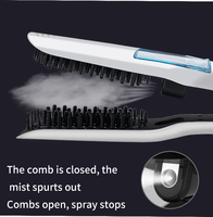 Lisseur à vapeur électrique professionnel en céramique à chauffage rapide pour cheveux humides/secs, brosse lissante OEM en gros