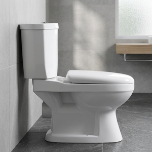 Conjunto de Inodoro y Lavabo de Cerámica de Dos Piezas Económico de Fábrica Chaozhou con Doble Descarga y Sifón en P o S - Product Image 1
