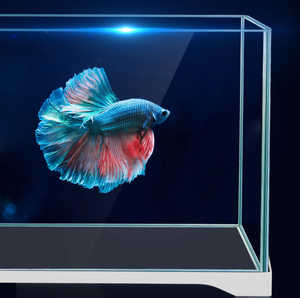 Sunsun Serie Kleine Mini Pvc Acryl Glas Biofloc <span class=keywords><strong>Aquarium</strong></span> Decoraties Unieke Vierkante Vorm Accessoires Voor Bettas - Product Image 6