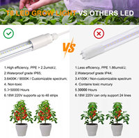 Plantes d'intérieur, micro-légumes, jardinage, semis, serre, éclairage, lampe de culture LED T8 IP65