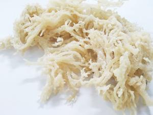 最高品質のアイルランド産海藻パウダー（コンドラス・クリプサス）ストレートパウダー アイリッシュモスパウダー - Product Image 3