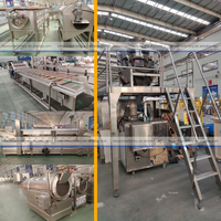 Machine de fabrication de chips de pommes de terre couches entièrement automatique balance fraîche surgelée machine à frites ligne de production de chips de pommes de terre