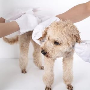 Top Venda Espessado <span class=keywords><strong>Pet</strong></span> Grooming Limpeza Luvas Molhadas Toalhetes para Cães Private Label <span class=keywords><strong>Pet</strong></span> Toalhetes Molhados - Product Image 5