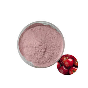 Заводская поставка, экстракт вишни Acerola, экстракт вишни, витамин C25 %, экстракт вишни, порошок - Product Image 1