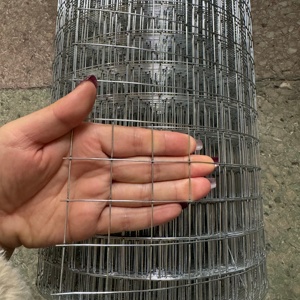 Galvanizli Kaynaklı Tel Örgü - 6mm Gözenekli Ağır Hizmet Tipi Kümes Hayvanları ve Bahçe Koruması için Çit, Galfan - Product Image 4