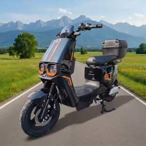 Bicicletta Elettrica di Alta Qualità con Motore Posteriore da 72v 350w, Batteria al Piombo, Autonomia di 50km, Potente E-Bike Alternativa alla Camminata - Product Image 1