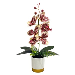 Plante d'orchidée Phalaenopsis artificielle avec pot, 43 pouces de haut, pour la décoration de la maison, du bureau ou du bureau à domicile - Product Image 5