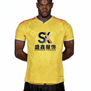 Camiseta de Fútbol de Entrenamiento de Fútbol Colombiano, Versión para Jugador, Transpirable, de Secado Rápido, Cuello en V, Spandex/Poliéster, Tejido de Punto, Deportiva, Personalizada - Product Image 1
