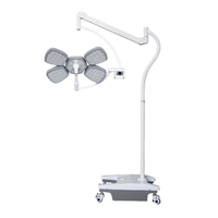 YGLED700/500 vente chaude Double dôme chirurgical LED lampe sans ombre monté au plafond chirurgie vétérinaire lumière d'opération