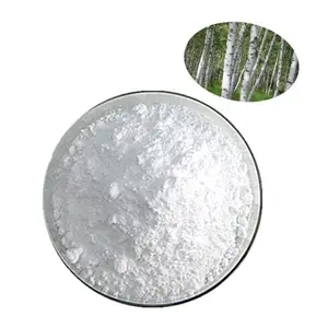 Tự nhiên cấp thực phẩm bổ sung CAS 472-15-1 vỏ cây Bạch Dương chiết xuất bột 98% betulinic axit