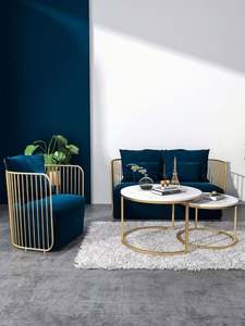 Canapé en métal et style nordique de luxe, canapé créatif pour la maison, combinaison de petits canapés, canapé de style moderne pour les boutiques de vêtements, fauteuil tendance - Product Image 3