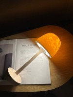 Lampe de table LED à effet d'ondulation d'eau en forme de champignon en verre, cadeau romantique, projecteur de lumière nocturne, cadeau pour couple, alimenté par batterie AC