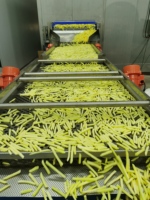 Machine de friture automatique et continue pour frites de patates douces, frites, chips de manioc, haute capacité