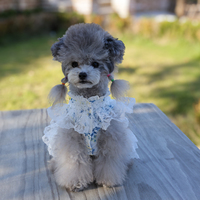 Jupe de princesse personnalisée en gros pour animaux de compagnie – Nouveau design, confortable, élégante, robe de mariée OEM en polyester classique