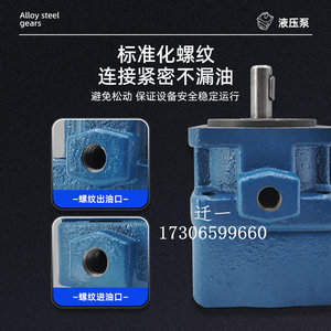 Pompe à aubes série Yb1 6,3 Mpa 960-1450 tr/min, pompe à huile hydraulique à faible bruit pour système à moyenne et basse pression - Product Image 3