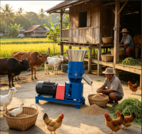 Nouvelle mini-machine à granulés d'aliments pour animaux domestiques 220V/380V, capacité de 500 kg/h pour l'alimentation des poissons et de la volaille