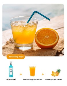 Ginebra FASTKING |   700 ml |   2x Destilado en Alambique de Charentais |   Para cócteles y bebidas refrescantes - Product Image 4