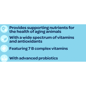 Complément alimentaire pour chien biologique 12 en 1 OEM/ODM, soutien quotidien complet pour la peau, les articulations, l'immunité, la vitalité, tous âges, poudre - Product Image 2