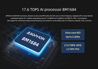 AIBOX BM1684 Octa Core A53 17.6TOPS Caja de Inteligencia Artificial Compatible con Algoritmos de Código Abierto Deepseek Edge PC Integrado AI BOX