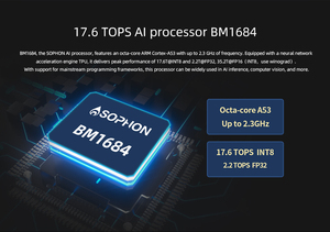 AIBOX BM1684 Octa Core A53 17.6TOPS <span class=keywords><strong>Caja</strong></span> <span class=keywords><strong>de</strong></span> Inteligencia Artificial Compatible con Algoritmos <span class=keywords><strong>de</strong></span> Código Abierto Deepseek Edge <span class=keywords><strong>PC</strong></span> Integrado AI BOX - Product Image 3