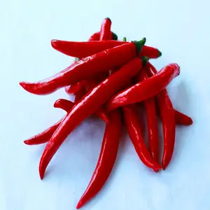 Whole Chaotian Chilli Supplier Sanying Chilli and Chaotian Dried Red Chilli
