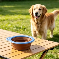 Nouveau modèle – Bol portable et pliable en silicone de qualité alimentaire, personnalisable, pour boire et manger en extérieur (vente en gros)