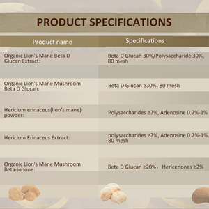 Estratto in Polvere di Fungo Criniera di Leone 30% Beta Glucano, Estratto di Hericium Erinaceus per Additivi Alimentari - Product Image 2