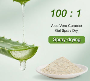 Healthdream kaynağı yüksek kalite 100:1 <span class=keywords><strong>Aloe</strong></span> <span class=keywords><strong>Vera</strong></span> Curacao jel sprey kuru toz saf <span class=keywords><strong>Aloe</strong></span> <span class=keywords><strong>Vera</strong></span> özü - Product Image 2